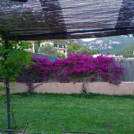 Filoses 18A Valldemossa  Esterno foto