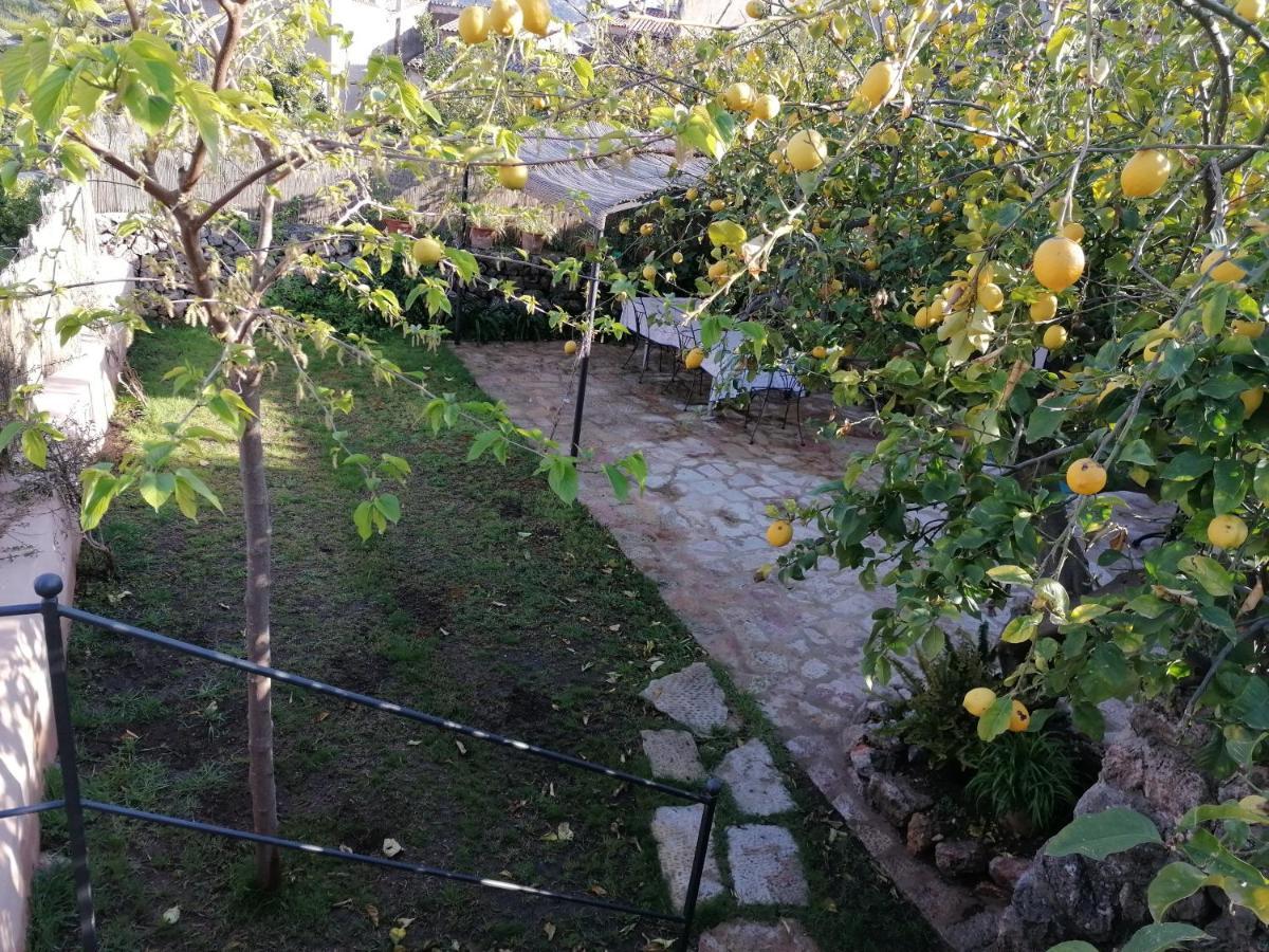 Filoses 18A Valldemossa  Esterno foto
